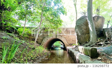 新緑の三鷹駅北口玉川上水 新緑の三鷹駅北口玉川上水 116208772