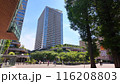 新緑快晴の小金井フェスティバルコート 116208803