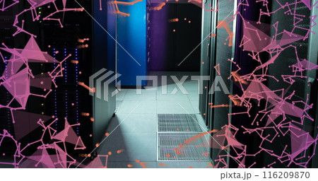 Image of plexus networks and network of connections against computer server room Image of plexus networks and network of connections against computer server room 116209870