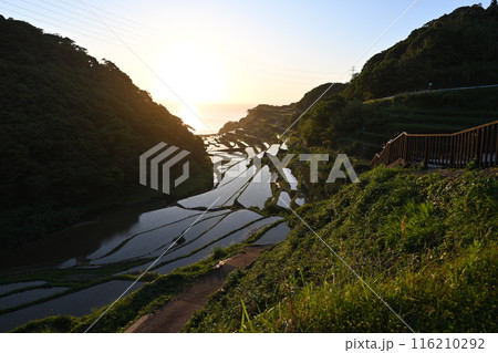 棚田に沈む夕日 116210292
