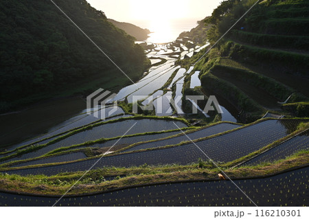 棚田に沈む夕日 116210301