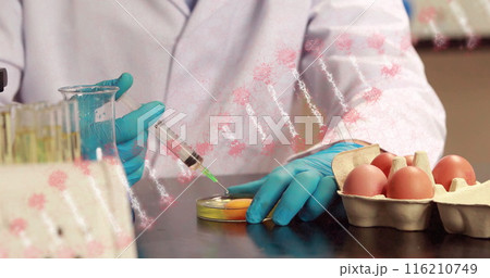 Image of dna strand rotating over midsection of scientist testing egg 116210749