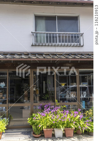 入口に春蘭の鉢が並ぶ商店・宮津 116210913