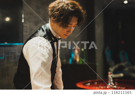 カジノイメージ　 116211165