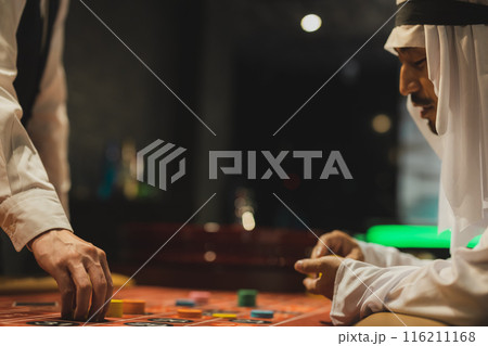 カジノイメージ カジノイメージ 116211168