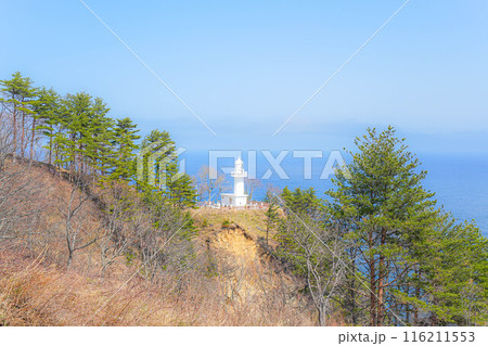 黒崎海岸 黒崎海岸 116211553