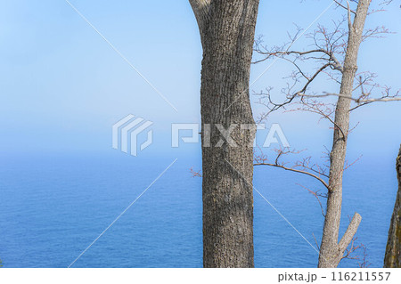 黒崎海岸 116211557