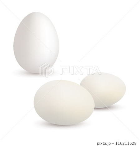 Three white eggs, one standing upright and two lying down. Vector Three white eggs, one standing upright and two lying down. Vector 116211629