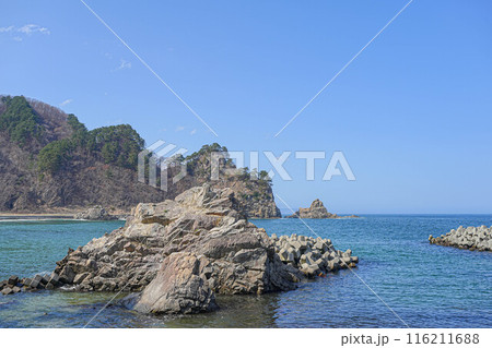 普代浜 普代浜 116211688