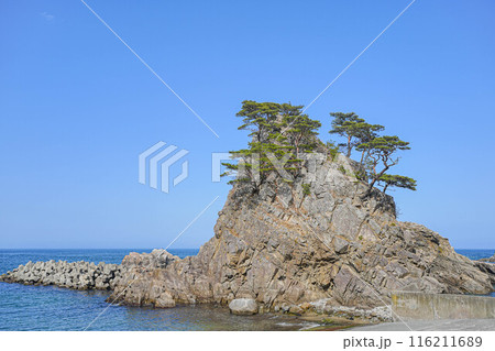 普代浜 普代浜 116211689