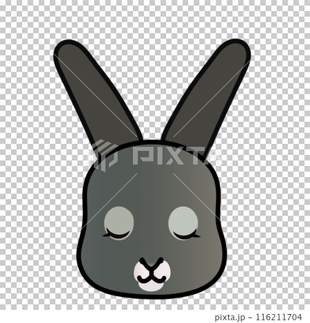 Rabbit face illustration Rabbit face illustration 116211704