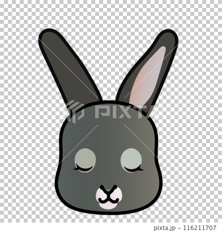 Rabbit face illustration Rabbit face illustration 116211707