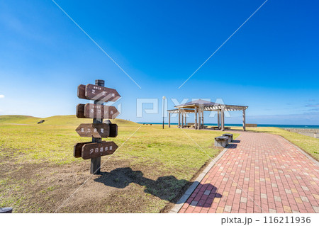 道の駅うみてらす名立　健康広場　芝広場　日本海 116211936