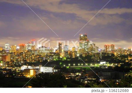 仙台城址公園から眺望する仙台市の夜景 仙台城址公園から眺望する仙台市の夜景 116212080