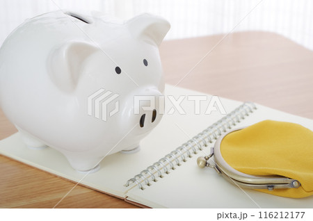 お金の管理をするイメージ 116212177