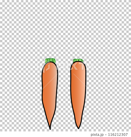 ニンジンのイラスト 116212307