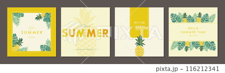 夏のトロピカルフルーツ   素材セット フレーム 背景 ベクターイラスト シンプル おしゃれ 116212341