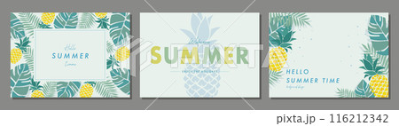 夏のトロピカルフルーツ   素材セット フレーム 背景 ベクターイラスト シンプル おしゃれ 116212342