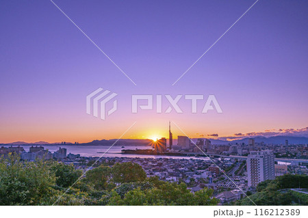 きれいな福岡の都市風景 きれいな福岡の都市風景 116212389