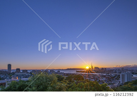 きれいな福岡の都市風景 きれいな福岡の都市風景 116212392