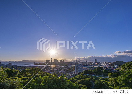 きれいな福岡の都市風景 116212397