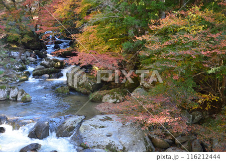 那倉川渓谷へ行きました　＃40 116212444