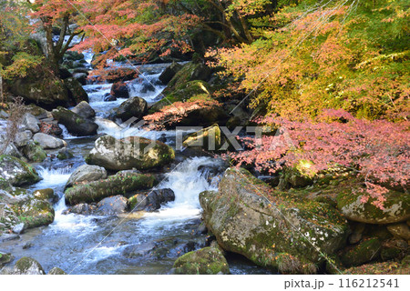 那倉川渓谷へ行きました　＃43 116212541