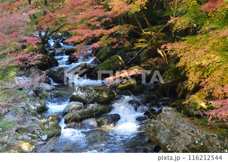 那倉川渓谷へ行きました　＃45 116212544