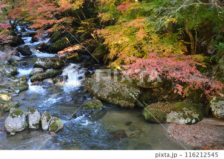 那倉川渓谷へ行きました　＃46 116212545