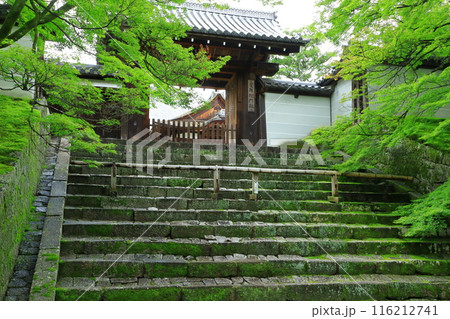 京都　曼殊院門跡　勅使門 116212741