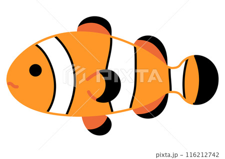 カクレクマノミのイラスト 116212742