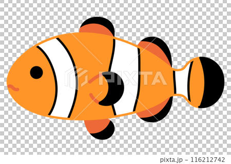 カクレクマノミのイラスト 116212742