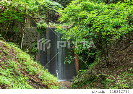 雑木林の中の砂防ダム　京都市左京区 116212755