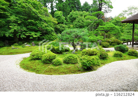 京都 曼殊院門跡 枯山水庭園 京都 曼殊院門跡 枯山水庭園 116212824