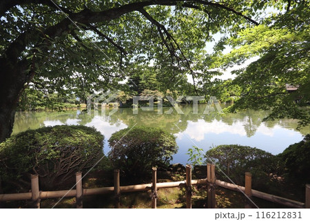 兼六園の水面に映る鏡像 兼六園の水面に映る鏡像 116212831