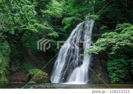 峨瓏の滝（峨瓏大滝） 116213153