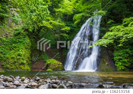 峨瓏の滝（峨瓏大滝） 116213158
