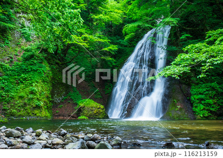 峨瓏の滝（峨瓏大滝） 116213159