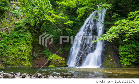 峨瓏の滝（峨瓏大滝） 116213176