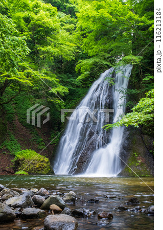 峨瓏の滝(峨瓏大滝) 峨瓏の滝(峨瓏大滝) 116213184