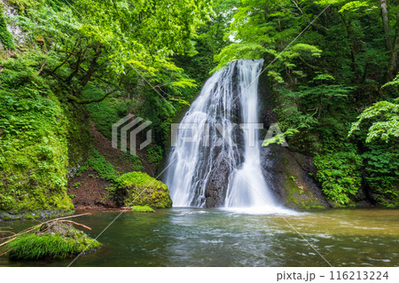 峨瓏の滝（峨瓏大滝） 116213224