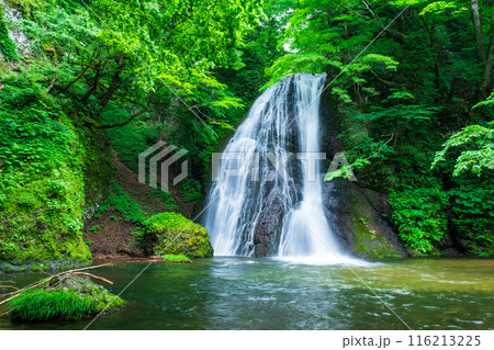 峨瓏の滝（峨瓏大滝） 116213225