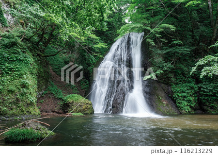 峨瓏の滝（峨瓏大滝） 116213229