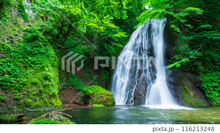 峨瓏の滝（峨瓏大滝） 116213248