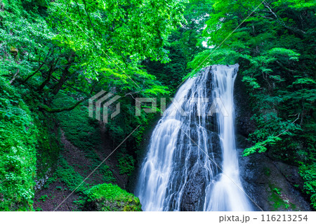 峨瓏の滝（峨瓏大滝） 116213254