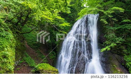 峨瓏の滝（峨瓏大滝） 116213256