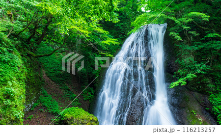 峨瓏の滝（峨瓏大滝） 116213257