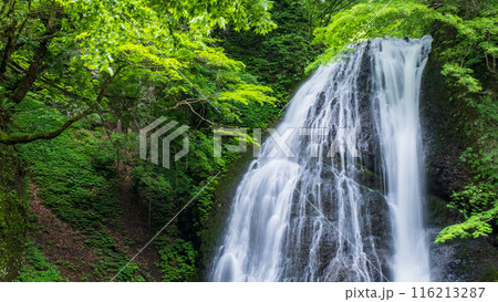 峨瓏の滝(峨瓏大滝) 峨瓏の滝(峨瓏大滝) 116213287