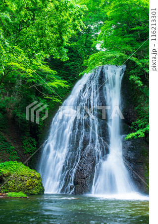 峨瓏の滝（峨瓏大滝） 116213301