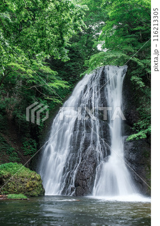 峨瓏の滝（峨瓏大滝） 116213305